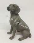 Weimaraner_18 54 00__um